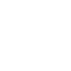 Badge icon